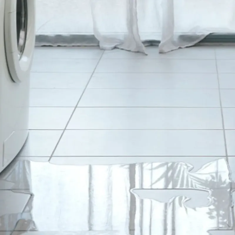 Appliance Leak Cleanup in Seagate, NC
