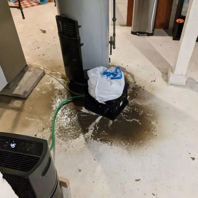 Sewage Backup Cleanup Service in Seagate, NC